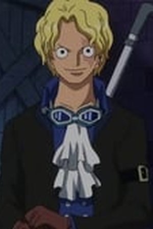 One Piece Season 17 Episode 743 - Poster