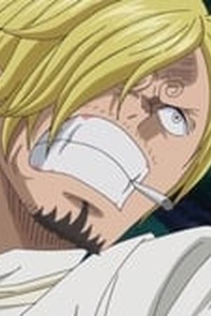 One Piece Season 19 Episode 848 - Poster