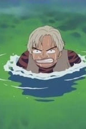 One Piece Season 5 Episode 143 - Poster