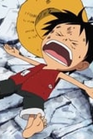 One Piece Season 9 Episode 306 - Poster