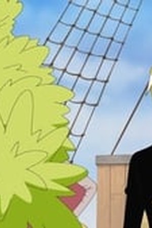 One Piece Season 9 Episode 307 - Poster