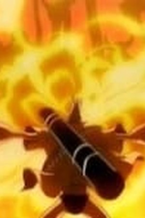 One Piece Season 10 Episode 346 - Poster