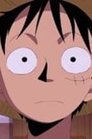 One Piece Season 10 Episode 354 - Poster