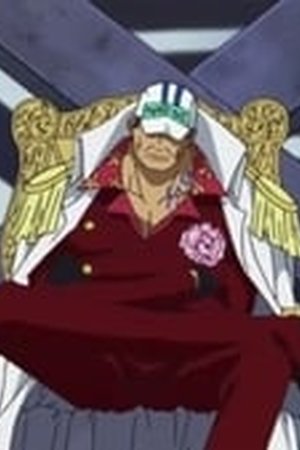 One Piece Season 13 Episode 462 - Poster