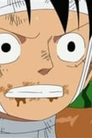 One Piece Season 13 Episode 507 - Poster