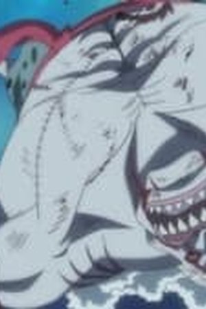 One Piece Season 14 Episode 567 - Poster