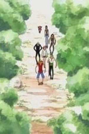 One Piece Season 5 Episode 136 - Poster