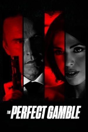 The Perfect Gamble ( 2025 ) - Poster