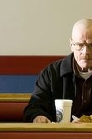 Breaking Bad Season 2 Episode 11 - Poster