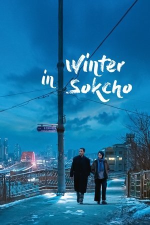Winter in Sokcho (2024) - Poster