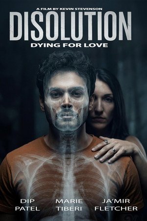 Disolution (2026) - Poster